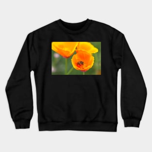 Bee and poppies Crewneck Sweatshirt